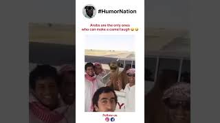 Arabs Making a Camel Laugh  HILARIOUS Talent Show Ever [upl. by Obrien445]