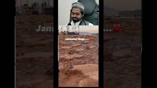 Jannatul baki trending jannat shortsvideo islamicvideo 🕋💚💯 [upl. by Elana]