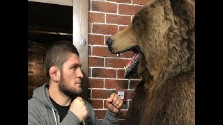 Khabib Nurmagomedov Berlatih Dengan Beruang [upl. by Cy988]