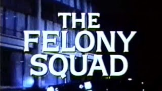 Classic TV Theme The Felony Squad Pete Rugolo [upl. by Sidran]