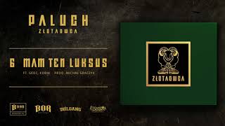 Paluch quotMam ten luksusquot ft Gedz Kobik prod Michał Graczyk [upl. by Atnod]