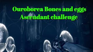 Ouroborea Eggs and bones Ascendant challenge Toland locationsDestiny 2 [upl. by Odin]