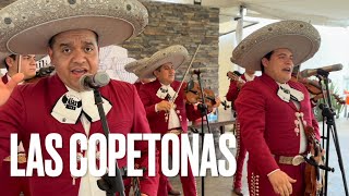 Mariachi Alas De México  Las Copetonas [upl. by Durrell202]