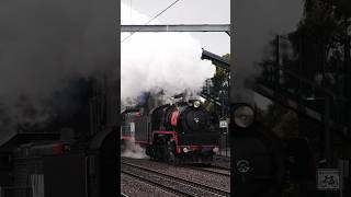 TRIPLE HEADER HERITAGE  707 Operations at West Footscray  trains [upl. by Miett311]