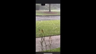 Large hail spotted in Glennville Georgia [upl. by Nylodnewg]