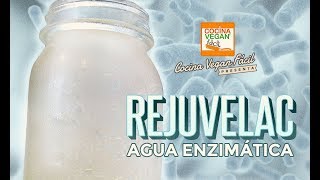 Rejuvelac agua con enzimas y probióticos  Cocina Vegan Fácil [upl. by Nae]