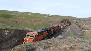 Empty Well Cars Descending Trinidad Hill  Cool and Windy Day On The BNSF Columbia Sub  DSCN0141 [upl. by Pisano]