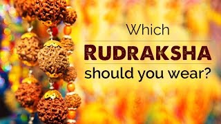 Which Rudraksha should you wear [upl. by Yahsal538]