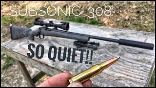 Suppressed 308  How Quiet Is It Silencer Series ep 01 [upl. by Maiocco337]