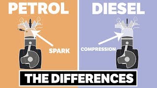 The Differences Between Petrol and Diesel Engines [upl. by Arihay]