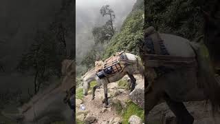 Main pahad aya🏔️foryou mountainlove youtube travel nature ytshorts explore viralshorts [upl. by Haila]