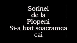 SORINEL DE LA PLOPENI SI A LUAT SOACRAMEA [upl. by Anallij]