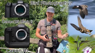 Canon R1 amp Canon R5 Mark II Should You BuyUpgrade for Bird Photography My Thoughts [upl. by Jillene]