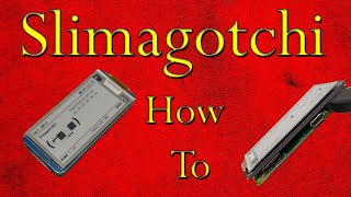 Pwnagotchi Slimagotchi How To Raspberry Pi Zero Wproject [upl. by Husain795]