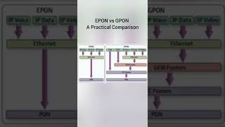 EPON vs GPON – A Practical Comparison [upl. by Ingles570]