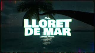 Mata  Lloret de Mar Ludvik Remix Disco Polo [upl. by Anniala]