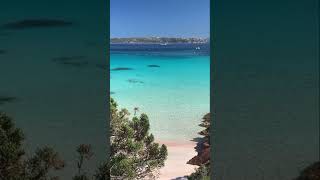 Spiaggia rosa di Budelli🇮🇹 italy travel sea beach romantic summer nature shorts [upl. by Kevyn693]