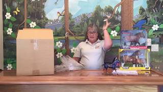 Breyer Collection Unboxing  Box 103  No Label [upl. by Dadelos]