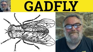 🔵 Gadfly Meaning  Gadfly Examples  Gadfly Definition  Describing People  Gadfly [upl. by Steiner]