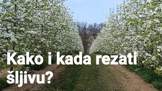 Kako i kada orezati šljivu [upl. by Jeconiah626]