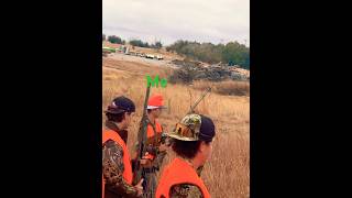 Kansas morning pheasant hunting hunting shotgunbird [upl. by Larimer93]