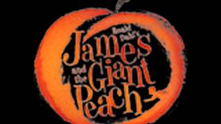 Floatin Along  James and the Giant Peach The Musical [upl. by Anayik67]