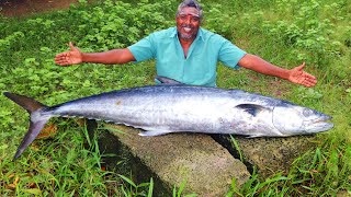 KING FISH FRY  KING FISH CUTTING  VANJARAM ULTIMATE FRY  SEER FISH GRAVY  FARMER COOKING [upl. by Consuelo667]