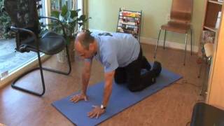 lower back strengthening  Multifidus exercise Prins Chiropractic [upl. by Eveivaneg]