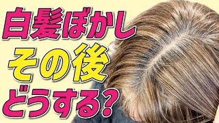 【白髪ぼかしその後】ハイライト１ヶ月後ってどうなるの？＜脱白髪染め＞＜0mmハイライト＞＜リタッチ＞ [upl. by Aramenta]