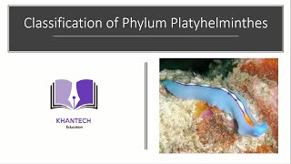 Phylum Platyhelminthes  Classification of Phylum Platyhelminthes [upl. by Winifield]