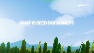 What is seed dormancy [upl. by Annahsal]