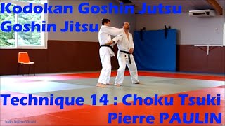 Kodokan Goshin Jutsu Technique 14  Choku Tsuki [upl. by Arsi]