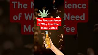 Coffee The Neuroscience of Why Your Brain Craves More shorts coffee neuroscience addict [upl. by Annayd]