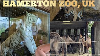 HAMERTON ZOO UK 2023 WELCOME TO HAMERTON ZOO PARKTravellerBidisha [upl. by Easlehc]