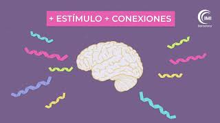 ¿Cómo aprende el cerebro del niño 💡 Introducción a la Neurociencia y el funcionamiento del cerebro [upl. by Merl232]