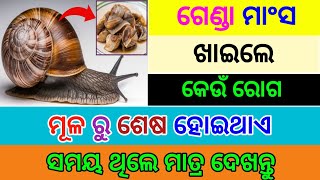 Odia GK Questions And Answer ll Odia GK Quiz ll GK in Odia ll General knowledge Odia ll GK Questions [upl. by Adnahsam]