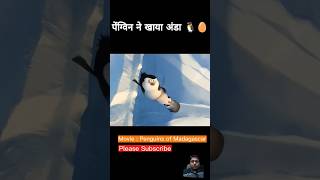 Iss Penguin🐧ne khaya anda shorts trending viral explanation cartoonmovie shortsyoutubeshorts [upl. by Meter83]