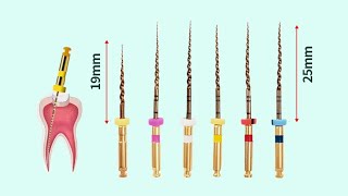 Endodontics Clinical  Rotary Instrumentation Files [upl. by Buine]