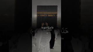 Inna Allaha huwa rabbee warabbukum fabudohu  Surah Zukhruf ❤️  Heartfelt Recitation [upl. by Hgielak483]