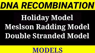 DNA RECOMBINATION OF DNA RECOMBINATION Holiday modeldouble strand break model meslson radding mod [upl. by Nosnevets]