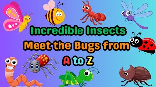 Incredible Insects Meet the Bugs from A to Z [upl. by Imorej]