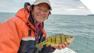 How to catch perch with minnows  Catching panfish [upl. by Kielty]