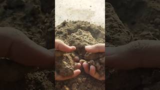 ASMR satisfying mud crumbling🤩🟫 satisfyingasmr mud sand grittymud shorts clay [upl. by Argus]