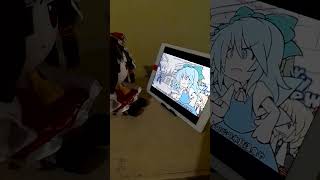 Fumo Reimu watches Cirno Funky [upl. by Anitsirhcairam]