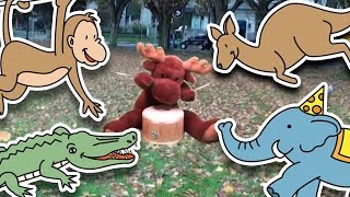 Jump Around  Animal Song for Kids [upl. by Nnylecoj]