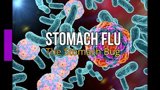 Stomach Flu The Stomach Bug [upl. by Brinkema]