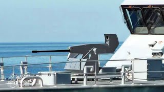 Oerlikon Searanger 20  High Precision 20 mm Naval Gun shorts [upl. by Mintz]