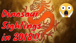 Are Dinosaurs Alive today YES  Sightings even from 2018 Creation Evolution [upl. by Piscatelli]