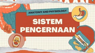 Anatomi dan fisiologi Sistem pencernaan [upl. by Stockwell]