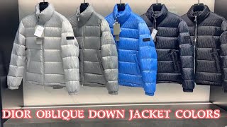 The perfect dior oblique down jackets colors 2023 [upl. by Teerprah924]